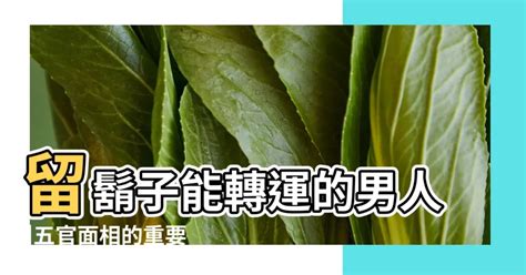 鬍鬚面相|留鬍鬚的面相特徵